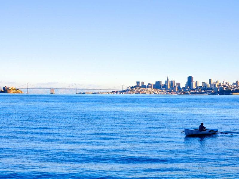 Global E-commerce Growth